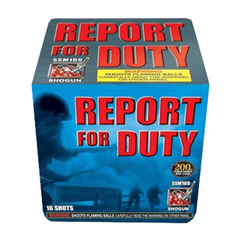 Report For Duty