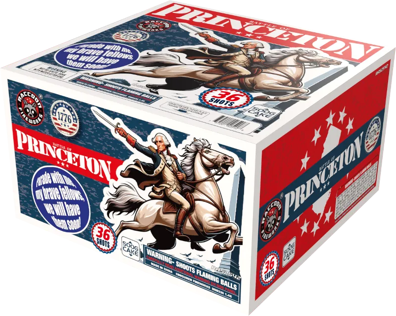 Battle of Princeton